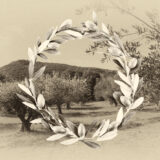 Tying the Knot at Horraon Olive Grove! A Journey Through Time and Nature!