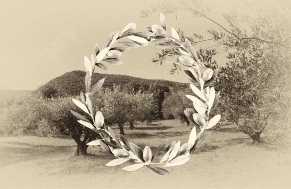 Tying the Knot at Horraon Olive Grove! A Journey Through Time and Nature!