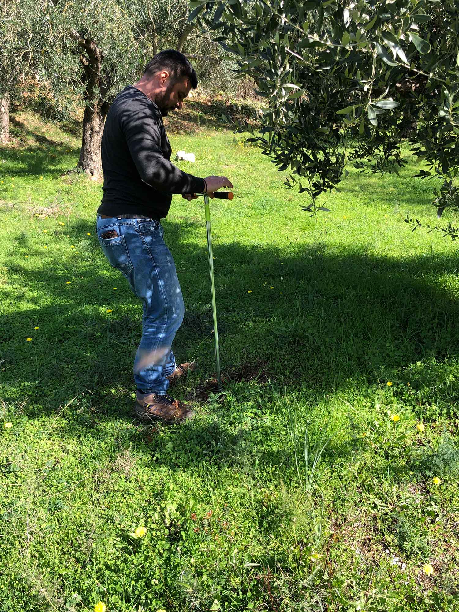 Christos Saltogiannis: The Agronomist behind the Top Quality of HORRAON EVOO